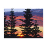 HUSTON PARK WILDERNESS, WYOMING. USA. Spruce postcards