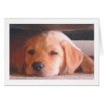 Huuuuuummm Greeting Cards