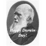 Hw-darwin, Happy Darwin Day! t-shirts
