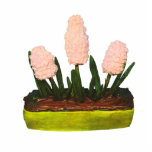 Hyacinth Cake photo sculptures