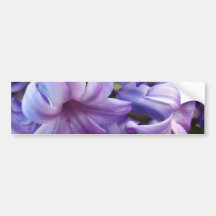 Hyacinth Flowers Bumper Sticker