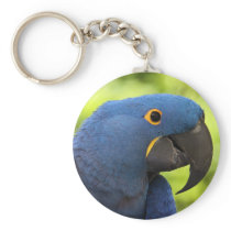 Hyacinth Macaw Key Chains