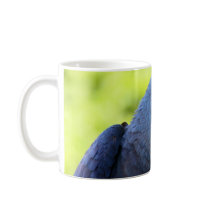 Hyacinth Macaw Coffee Mugs