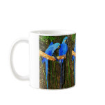 Hyacinth Macaws mugs