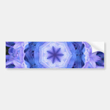 Hyacinth May 2013 Bumper Stickers