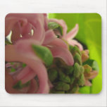 Hyacinth Mousepad