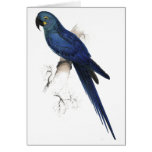 Hyacinthine Maccaw by Edward Lear cards