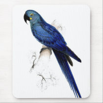 Hyacinthine maccaw Mousepad mousepads