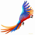 Hybrid Catalina Macaw Holiday Ornament Acrylic Cut Outs