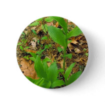Hybrid of Prairie lady's slipper and Yellow lady's Pinback Buttons