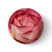 Hybrid Tea Rose Pin