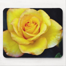 Hybrid Tea Rose  flowers Mouse Pads