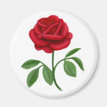 Hybrid Tea Rose Magnet