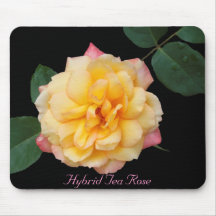 Hybrid Tea Rose Mouse Pad