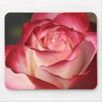 Hybrid Tea Rose Mouse Pad
