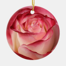 Hybrid Tea Rose Ornaments