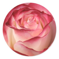 Hybrid Tea Rose Round Sticker