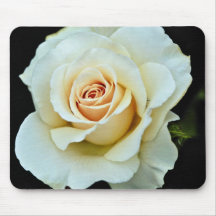 Hybrid Tea Rose White flowers Mousepad