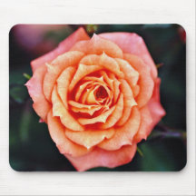 Hybrid Tea Rose White flowers Mousepad