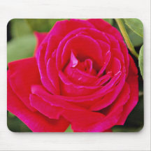 Hybrid Tea Rose White flowers Mousepads