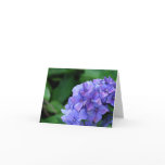 Hydrangea 6893 card