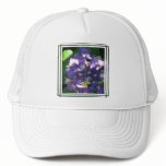 Hydrangea Baseball Hat