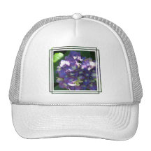 Hydrangea Baseball Hat