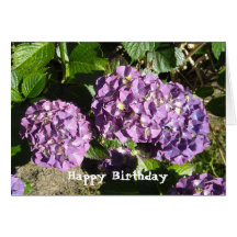 Hydrangea Birthday Greeting Card