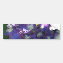 Hydrangea Bumper Sticker