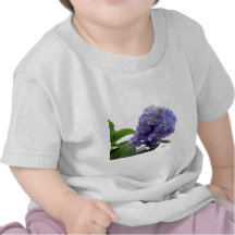 Hydrangea Bush Baby T-Shirt
