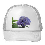 Hydrangea Bush Baseball Hat