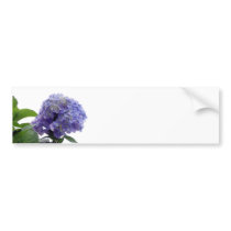Hydrangea Bush Bumper Stickers