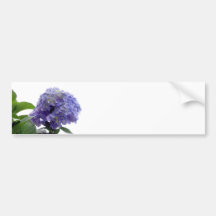 Hydrangea Bush Bumper Stickers