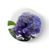 Hydrangea Bush Button
