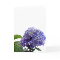 Hydrangea Bush Greeting Card