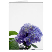 Hydrangea Bush Greeting Card