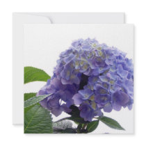 Hydrangea Bush Invitations