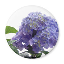 Hydrangea Bush Magnet