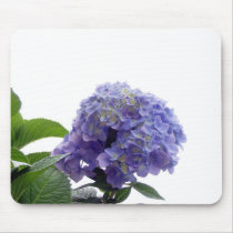 Hydrangea Bush Mouse Pad