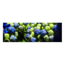 Hydrangea Close Up Image Business Card