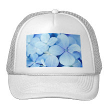 Hydrangea closeup hats