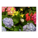 "Hydrangea Hues" Card