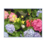 "Hydrangea Hues" Postcards