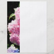 Hydrangea in Sunshine Flyer Design