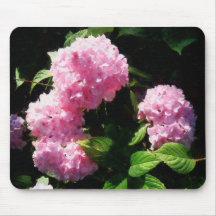 Hydrangea in Sunshine Mouse Pads