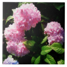 Hydrangea in Sunshine Tile