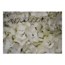 Hydrangea  INVITATION