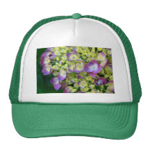 Hydrangea macro hats