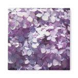 Hydrangea magnets