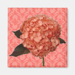 Hydrangea on Pink Pattern Refrigerator Magnets